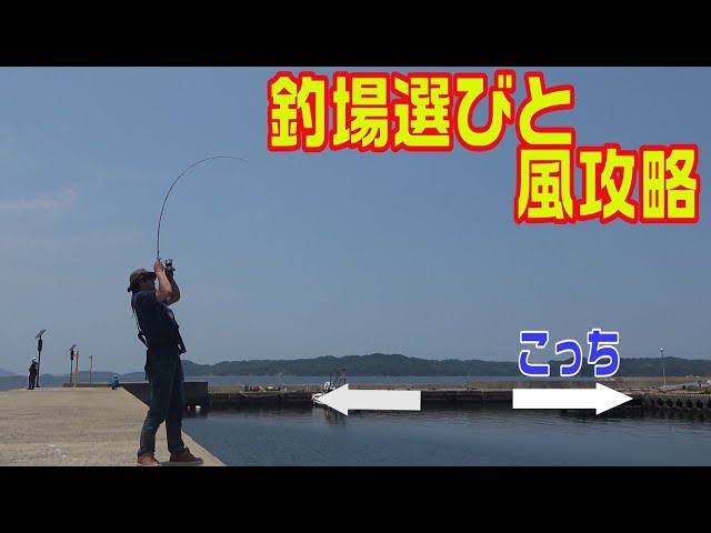エギング！6月、7月の釣り場選びで意外と忘れられがちな釣り座と堤防風