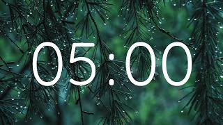 5 Minute Rain Timer 🌧️ Relaxing Rain & Thunder Sounds Focus & Study