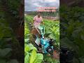 most powerful engine for agriculture farming | #agriculture #farminglife part 3811