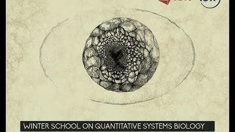 Spatial information and the dynamics of morphogen gradient formation  by Tim Saunders