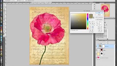 Solid Color Adjustment Layers in Photoshop