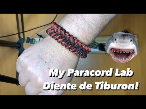 Video: Cómo hacer una pulsera de Paracord 550 sin hebilla (puntada Cobra seguida de King Cobra)