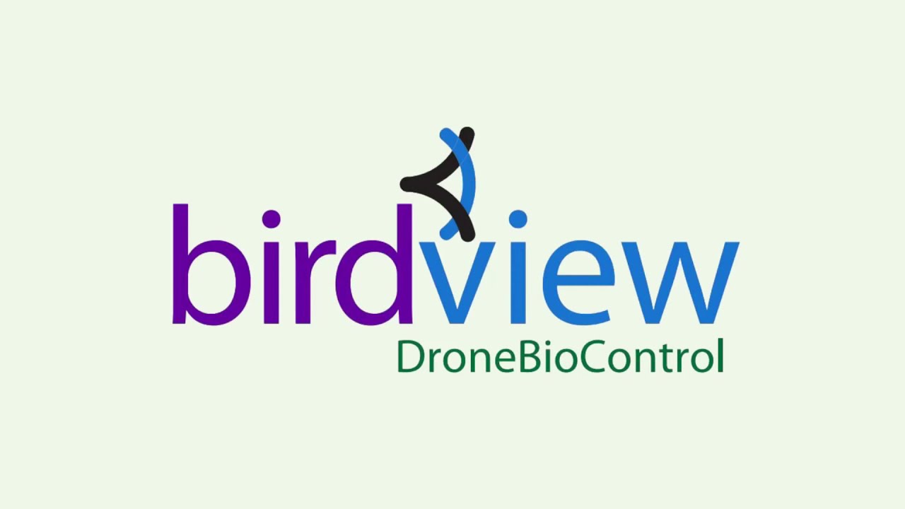 BirdView - Historico - YouTube