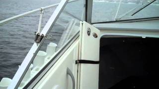 Trophy Pro 1950 2007 Seatrail