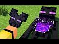 MINECRAFT MA OGNI MOB HA UN ARMATURA