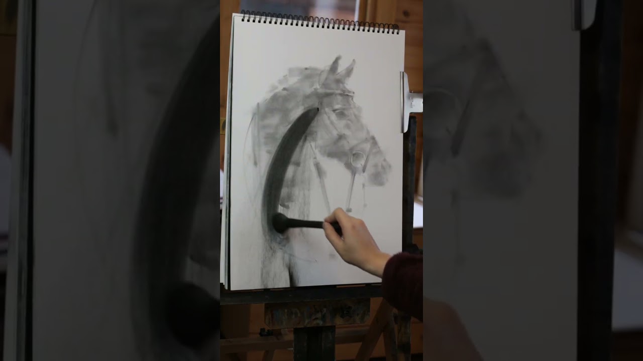 Horse portrait, charcoal on paper by Tianyin Wang 
