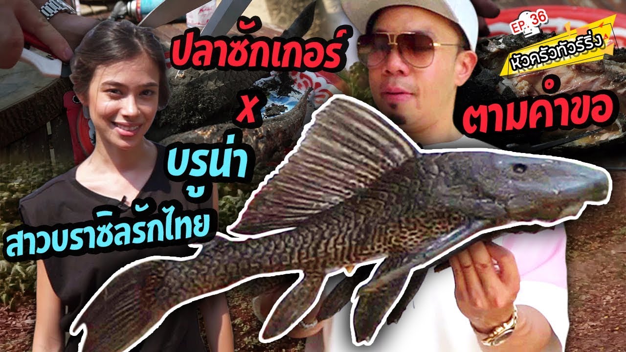 เมี่ยงปลาซักเกอร์ เอาใจบรูน่า สาวบราซิลรักไทย [หัวครัวทัวร์ริ่ง] EP.36