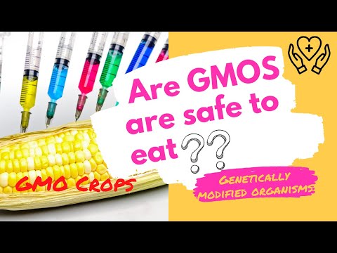 Video: Är alla arvegodsfrön icke GMO?