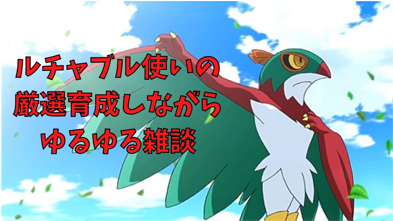 ルチャの相棒を探す ルチャブルは強いんだぞっ ポケモン剣盾 Youtube