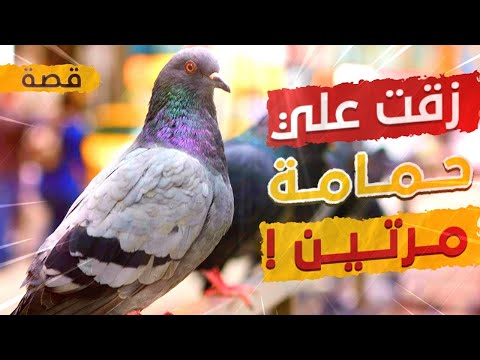 اغرب صدف صارت لي بحياتي !!