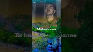 Baver Aydın Çiyayê Golano Yorum ゚
