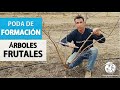 PODA de formación de árboles frutales