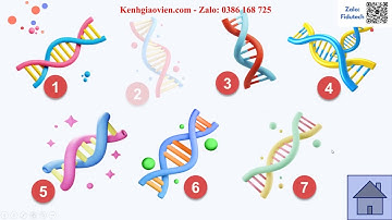 Trò chơi khởi động Hoạt động trải nghiệm 6 Kết nối CĐ 4 ND 4: Chi tiêu hợp lí | AI HĐTN 6 KNTT