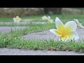 Nova Eliza Pilates DVD Trailer