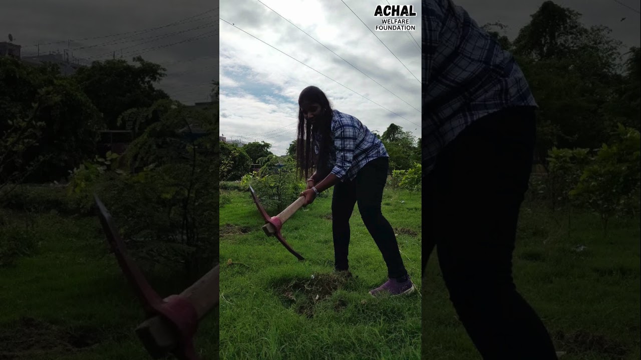 🌳 Achal Welfare Foundation's Tree Plantation Drive with RSS team🌿 | 250+ Trees Planted! 🌱✨