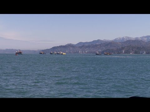 ქართველი მეზღვაურები ტყვეობაში რჩებიან