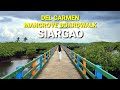 SIARGAO Mangrove Boardwalk