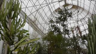 PALM HOUSE at Botanic Gardens Belfast