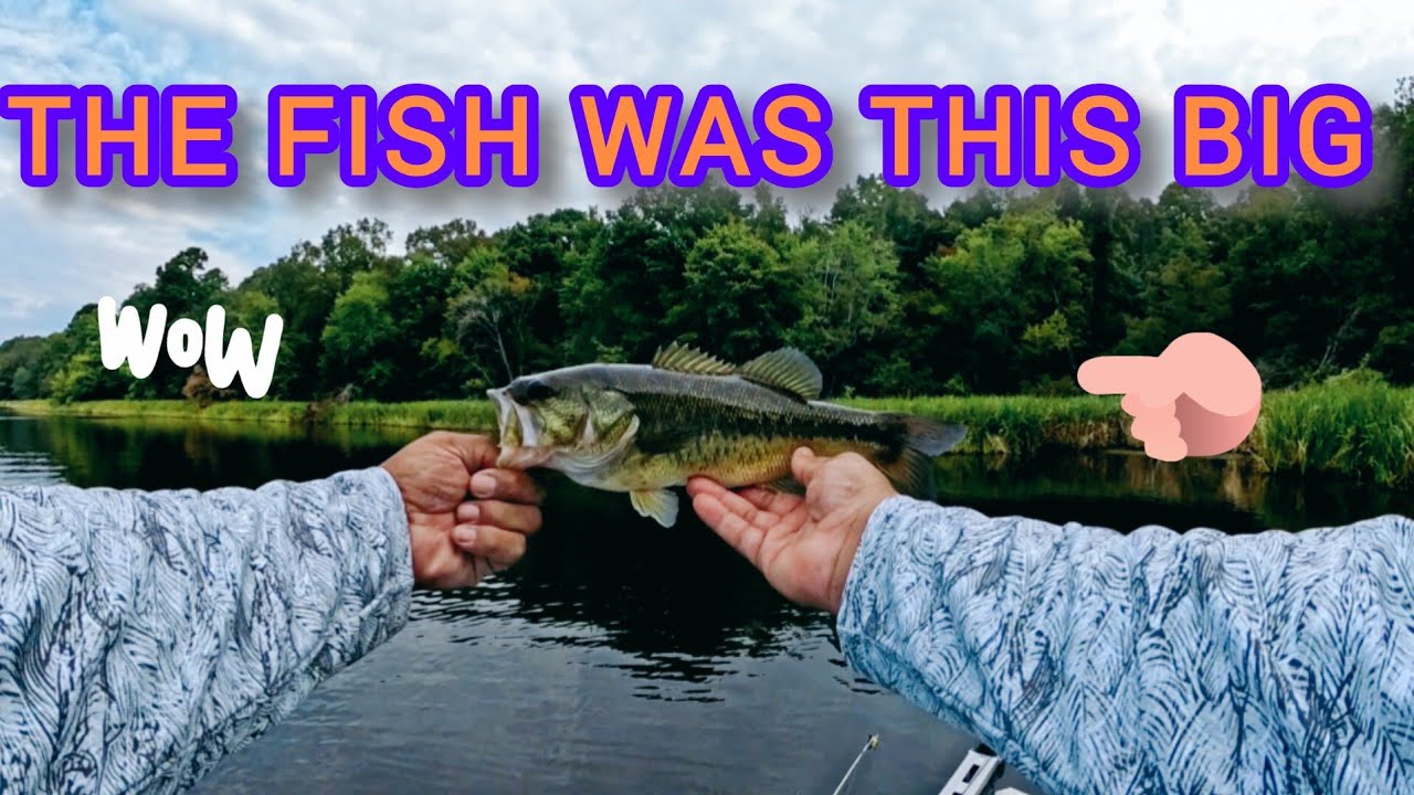 THE BASS WAS THIS BIG (JOKING, OF COURSE)