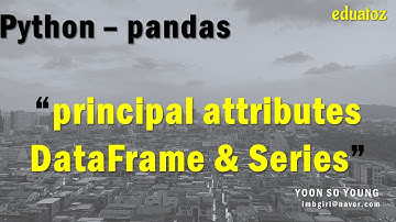 [PYTHON][pandas_05] DataFrame과 Series의 주요구성요소