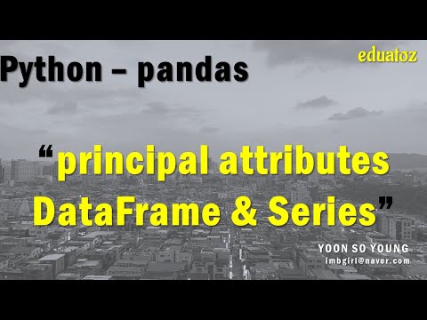 [PYTHON][pandas_05] DataFrame과 Series의 주요구성요소