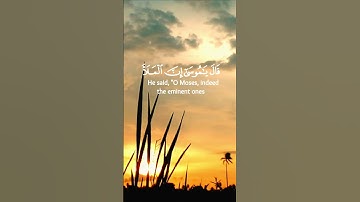 سورة القصص الآية 20 بصوت القارئ محمد الفقيه
