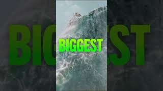 Celebrity The Meg 2 | Tickets On Sale Now | Trailer Spot Profile