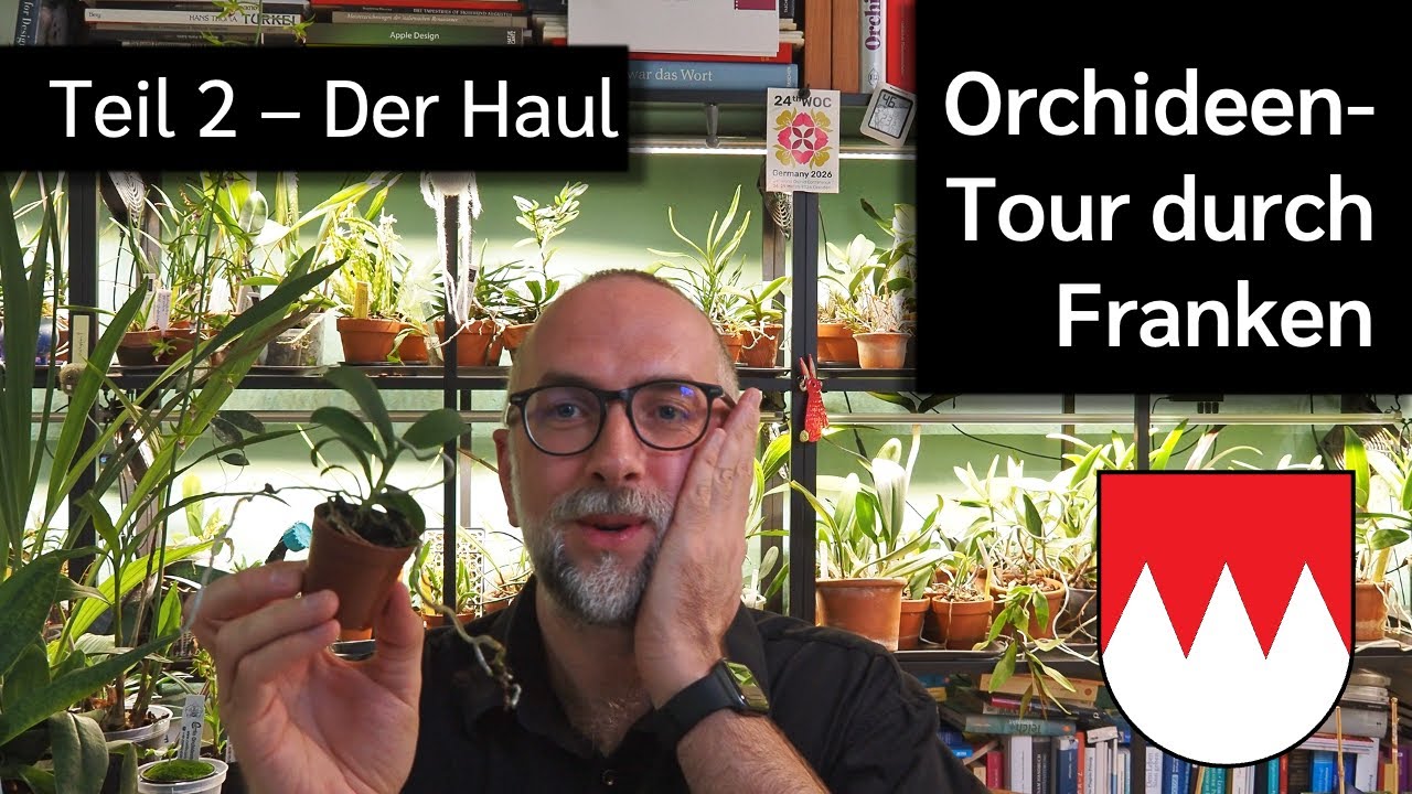 Orchid Tour through Franconia – Part 2 – The haul (Unpaid advertisement)