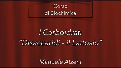 Che cos'è il lattosio chimica?