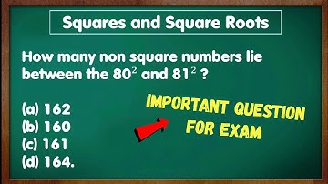 Class 8 Maths Chapter 6 squares and square root MCQ | Maths chapter 6 Mcq Class 8