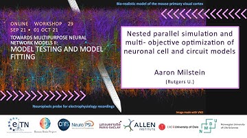Aaron Milstein - Nested parallel simulation and multi-objective optimization of neuronal cell and...
