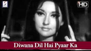 दीवाना दिल हैं प्यार का Deewana Dil Hai Pyaar Ka Lyrics in Hindi