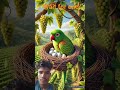 #birds #moralstories #funny #pigeon #ai #funnypictures #cartoon #viral