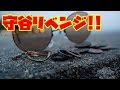 千葉の海で金属探知機リベンジマッチ守谷海水浴場