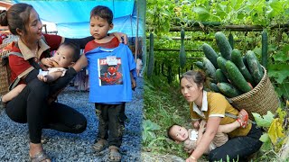 Harvest pumpkins and sell them at the market | Cooking reminds me of the boy, should I visit him?