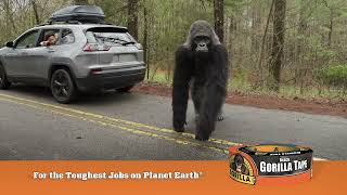Gorilla Tape - Road trip