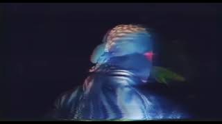 Lampor Keranda Terbang Terekam Kamera.