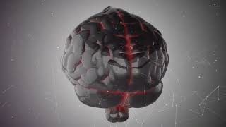 Unraveling the Singularity  Concepts - Utopia, dystopia, and in between.