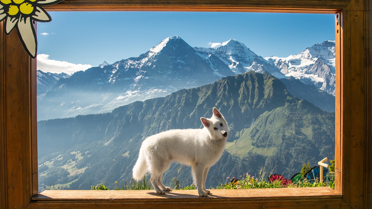 Swiss Autumn Travel Guide: 3 Hidden Gems You Must See