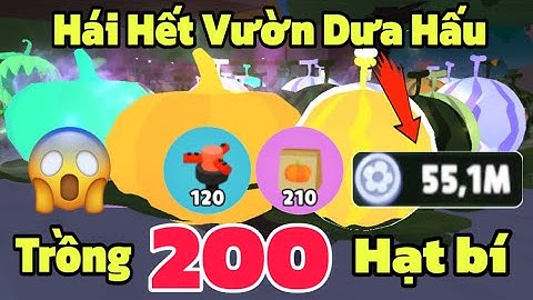 (Play Together) Mình Hái Hết Vườn Dưa Hấu Trồng 200 Hạt Bí