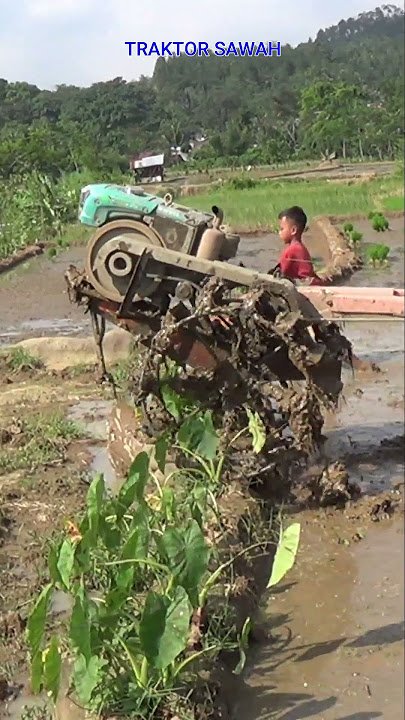 Traktor Sawah 253 Terjun