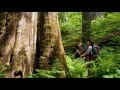 The Incomappleux Documentary - British Coloumbia's Inland Rainforest