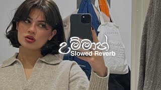 Umma - Chanuka Mora x Dilo ( Slowed Reverb )
