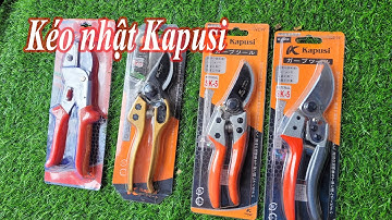Các Mẫu kéo cắt cành Kapusi được mua nhiều nhất trên thị trường việt nam