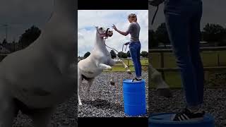 Funny Moments & Epic Fails Compilation 😂 Best Crazy People Fails 2026 Try Not To Laugh #funny