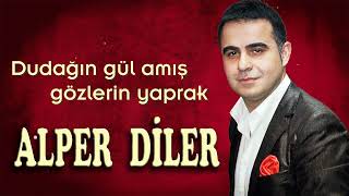 ALPER DİLER - DUDAĞIN GÜL AÇMIŞ GÖZLERİN YAPRAK Resimi