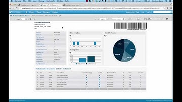 Visualize.js: Embedding a Report with Parameters