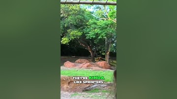 Amazing Acceleration  0 to 70 MPH in 3 Seconds!