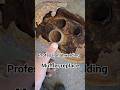 2004 nissan pathfinder muffler replace #automobile #mechanic