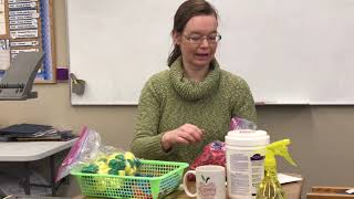 Grade 3 Science: Classifying